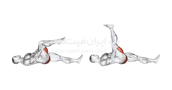 عضلات هدف در تمرین کشش همسترینگ