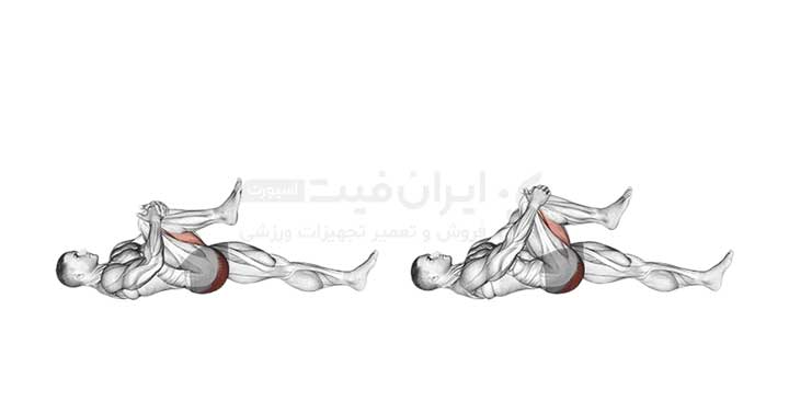 عضلات هدف در کشش زانو به سینه (Knee to Chest Stretch)