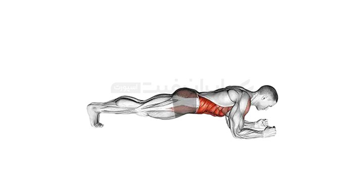 عضلات هدف در پلانک (Plank)