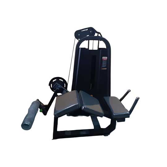 دستگاه بدنسازی پشت پا طرح DHZ مدل ایوست