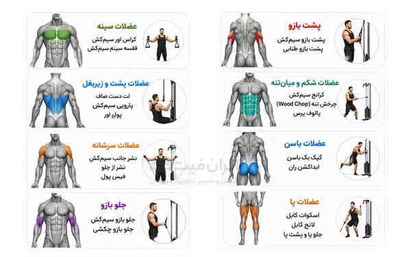 عضلات هدف در تمرین با  دستگاه کراس جمع باشگاهی یا فانکشنال 