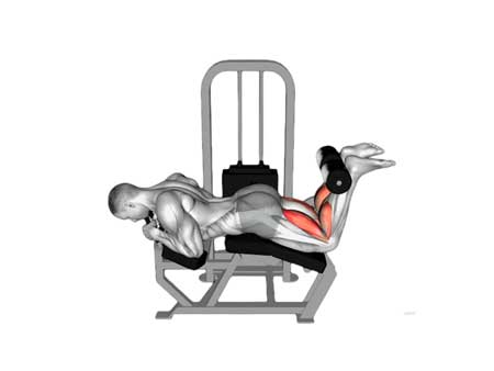 عضلات هدف در تمرین با دستگاه بدنسازی پشت پا طرح DHZ مدل ایوست 