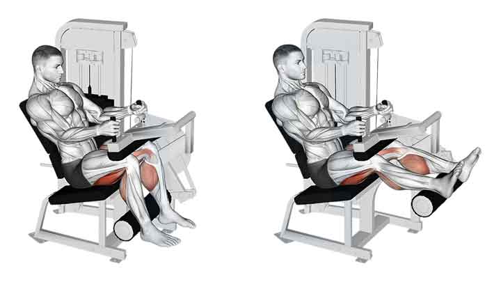 عضلات هدف در پشت پا نشسته (Seated Leg Curl)