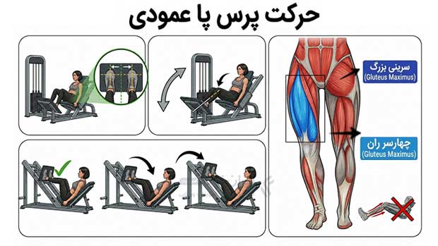 آموزش تصویری حرکت پرس پا عمودی با دستگاه بدنسازی برای اصلاح زانوی ضربدری