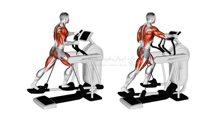 ماهیچه ها و عضلات درگیر در تمرین با الپتیکال